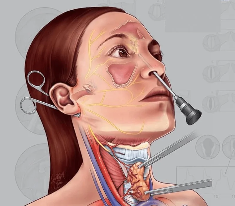 Head and Neck Tumor Surgery Jalandhar